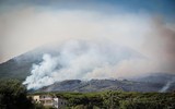 Cháy rừng diễn biến phức tạp tại nhiều nước trên thế giới 